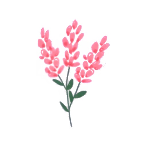 天天記帳 - Fleur 記帳